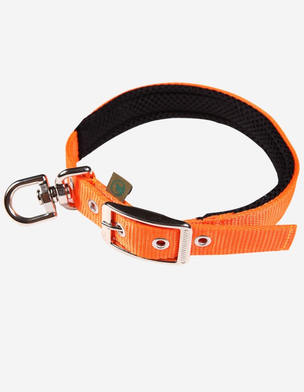 Collier forestier avec émerillon