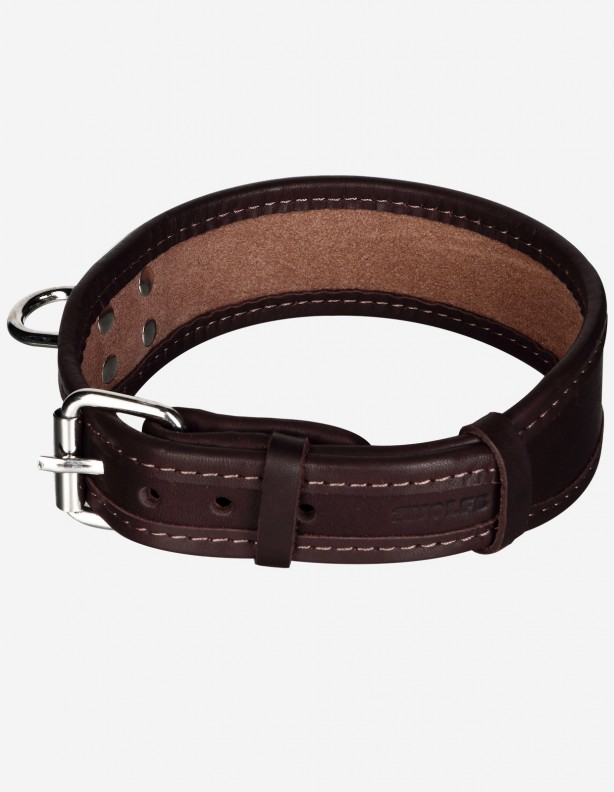 Collier pour chien HEKTOR