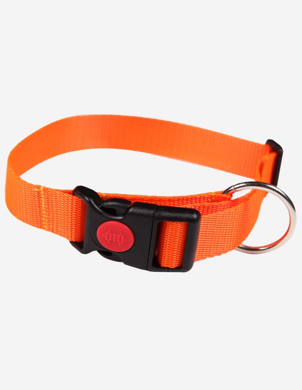 Collier forestier avec fusible