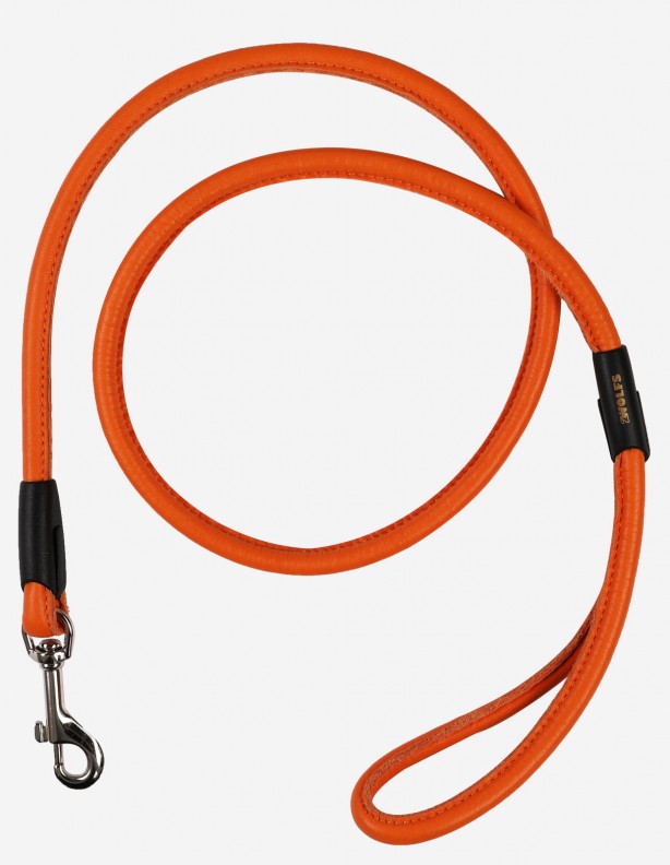 Laisse en cuir confortable 120cm