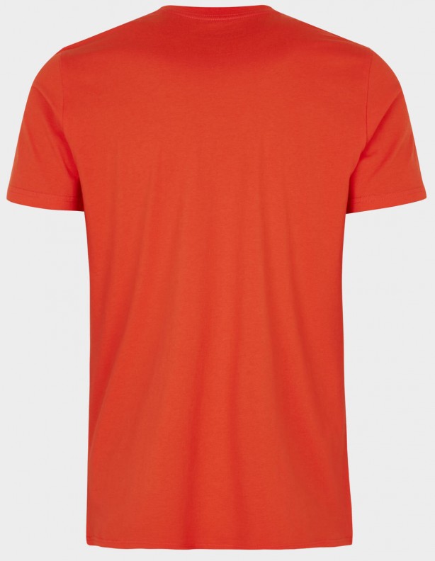 Koszulka letnia Frej orange duże rozmiary!