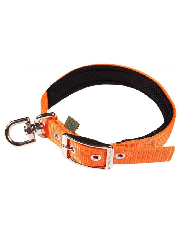 Collier forestier avec émerillon