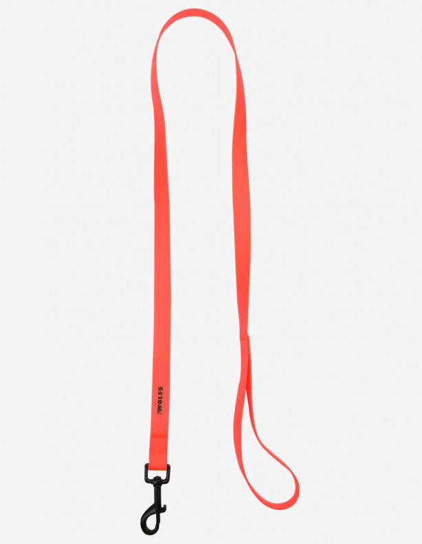 Laisse Dingo 120 cm